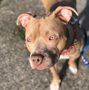 Meet your Posher, Naynay